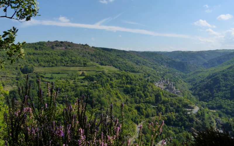 Vue sur Conques