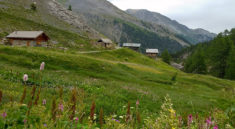 Chalets de l'Eychaillon