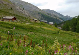 Chalets de l'Eychaillon