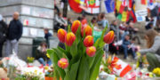 Fleurs Bourse