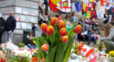 Fleurs Bourse