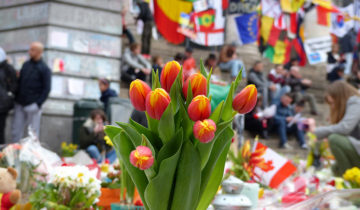 Fleurs Bourse