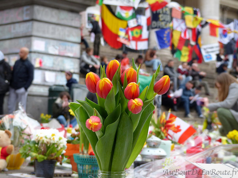 Fleurs Bourse