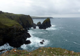 Vue vers Lizard Point