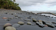 Londonderry Beach