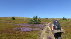 Mont-Lozère