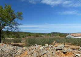 Garrigue muret