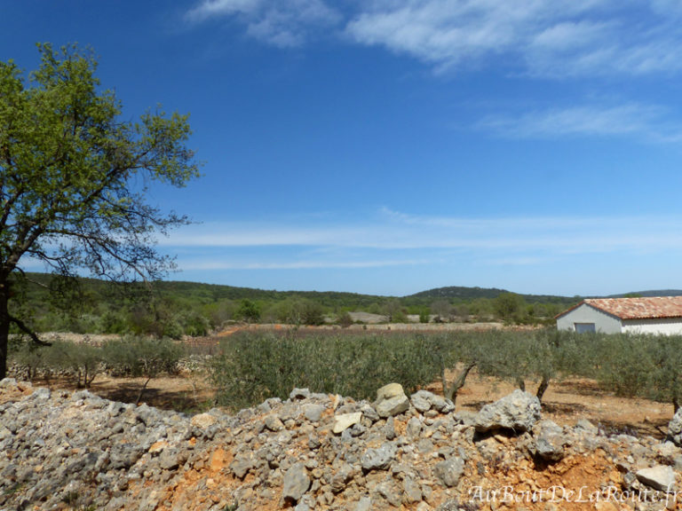 Garrigue muret